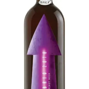 Pinot Nero Riserva Gabrio 2021 Serragghia