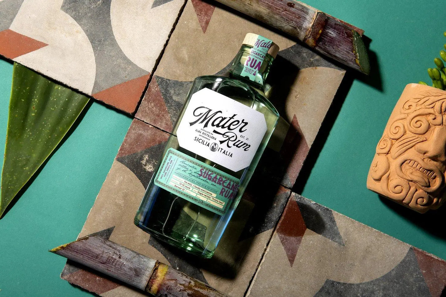 Rum Mater Sugarcane