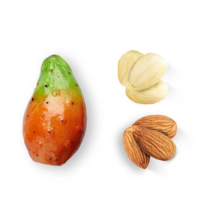Cassettina 500 gr Frutta Martorana